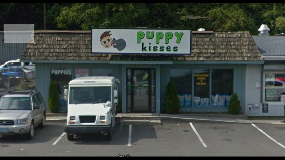 Workers at Danbury pet store sold puppies under false pretenses Police