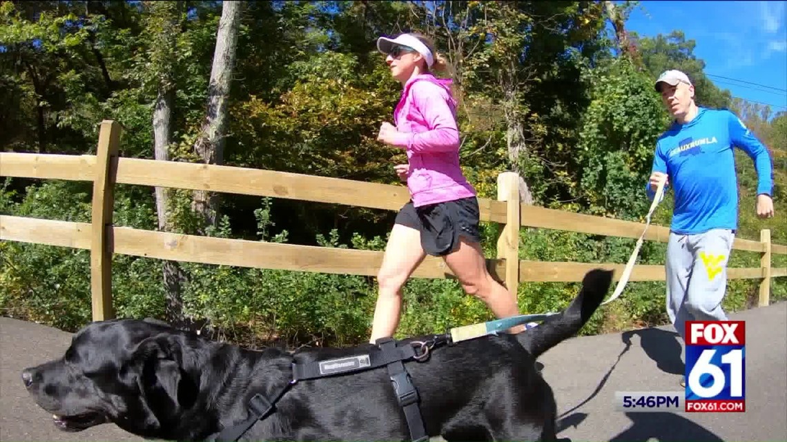 Queen Quinn Top Dog on the racing circuit