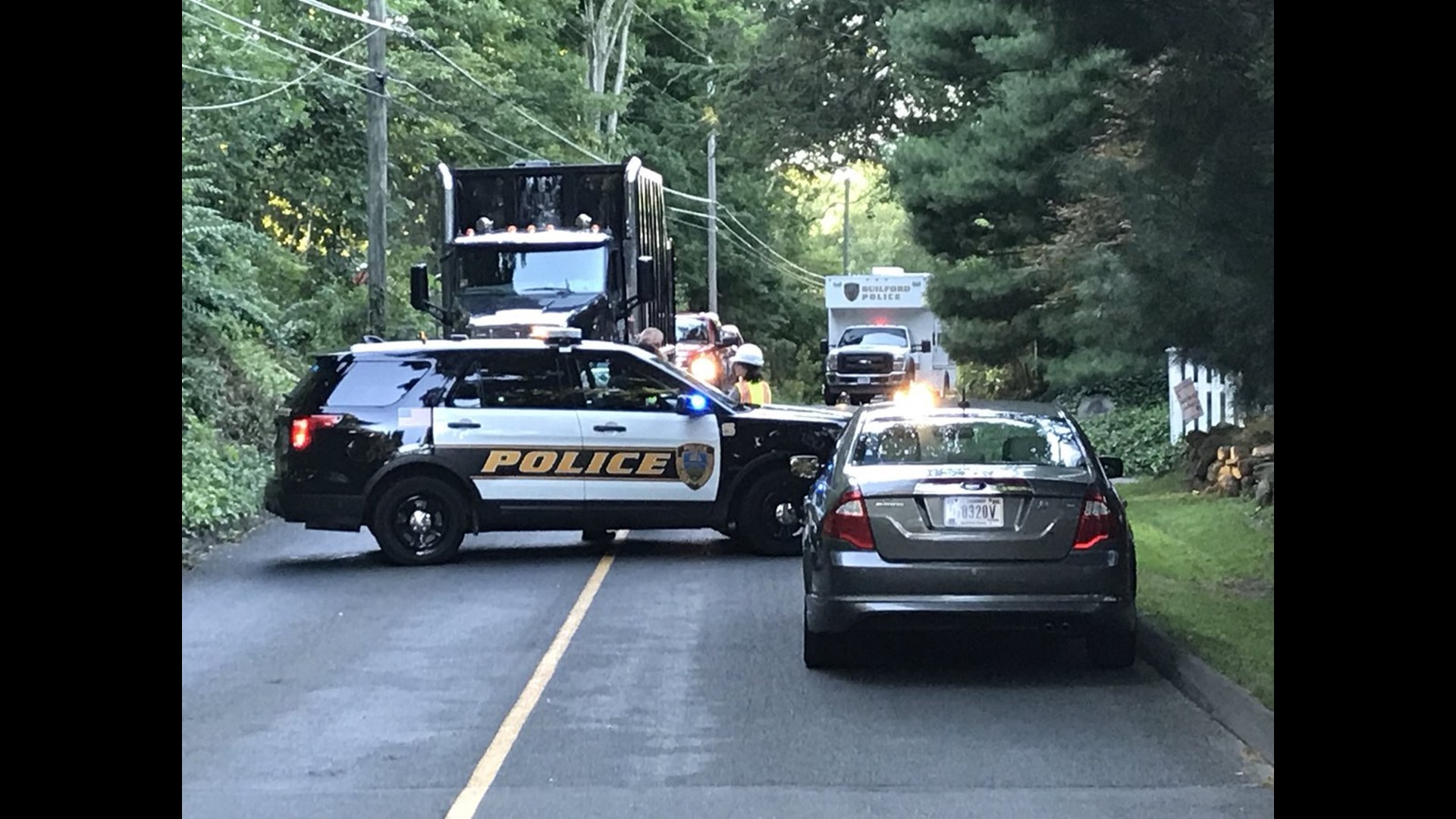 Tree service worker killed in Guilford accident