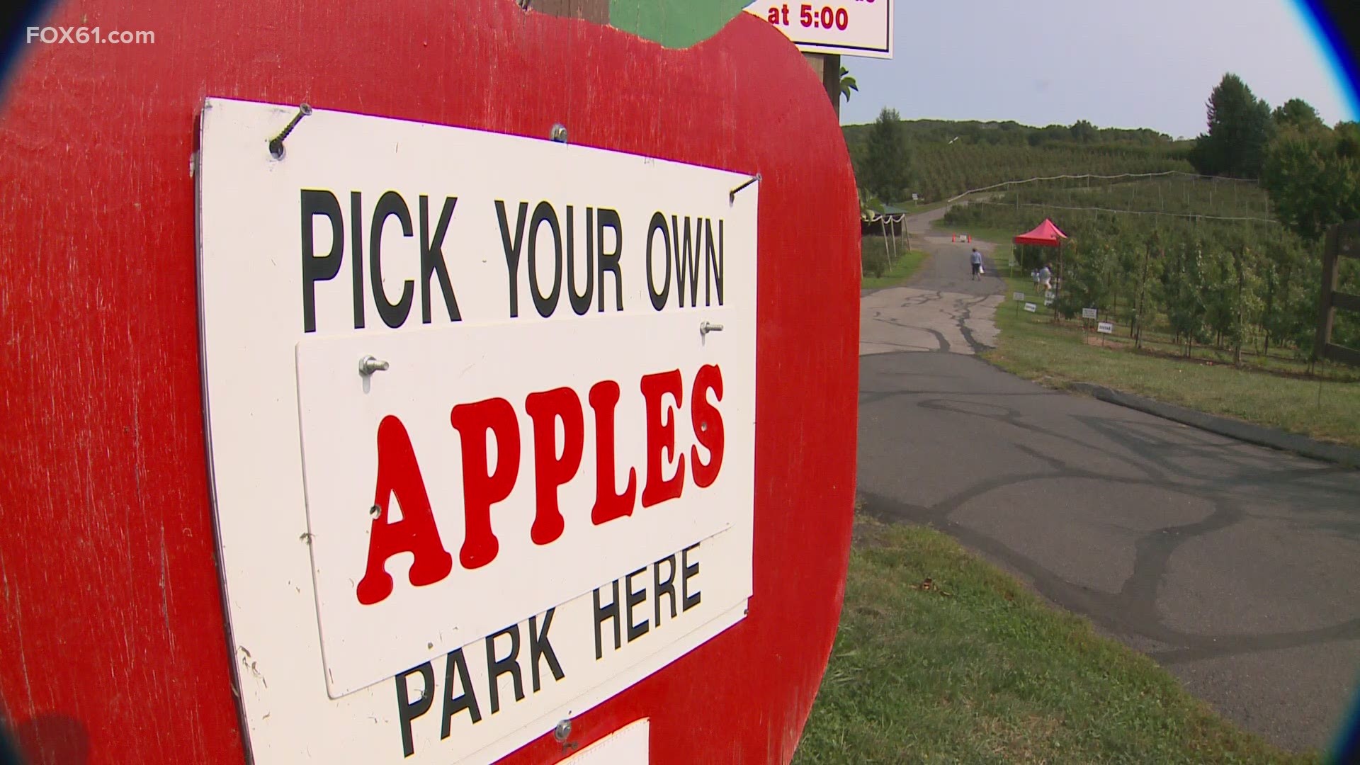 110 year old, Belltown Hill Orchards is seeing it’s fair share of visitors coming to pick apples or visit the farm store and owner Don Preli says part of the reason.