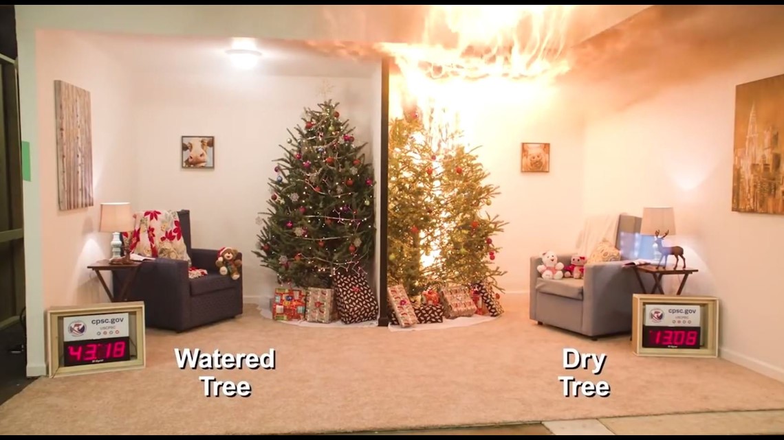 Video demonstrates the fire danger of dry Christmas trees in home