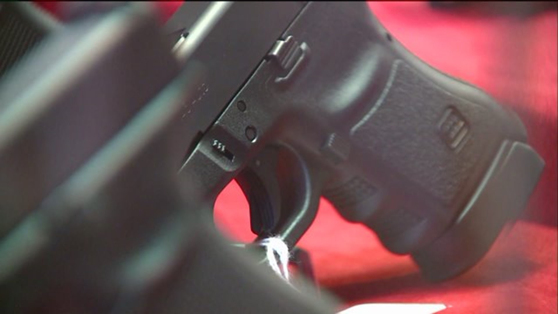 Domestic violence victims speak out in favor of bill to limit guns for abusers