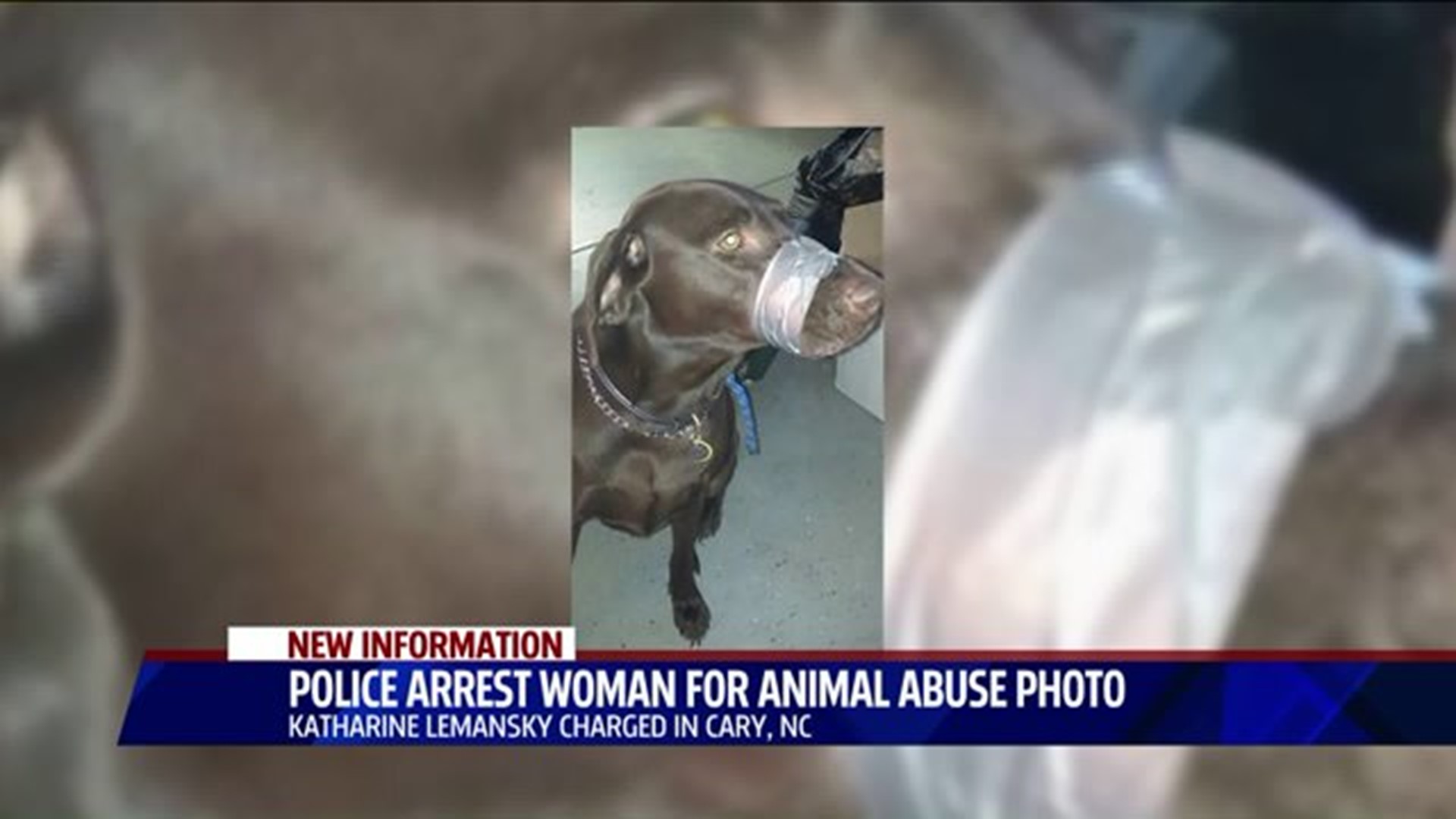 Woman arrested after posting picture of dog with duct tape