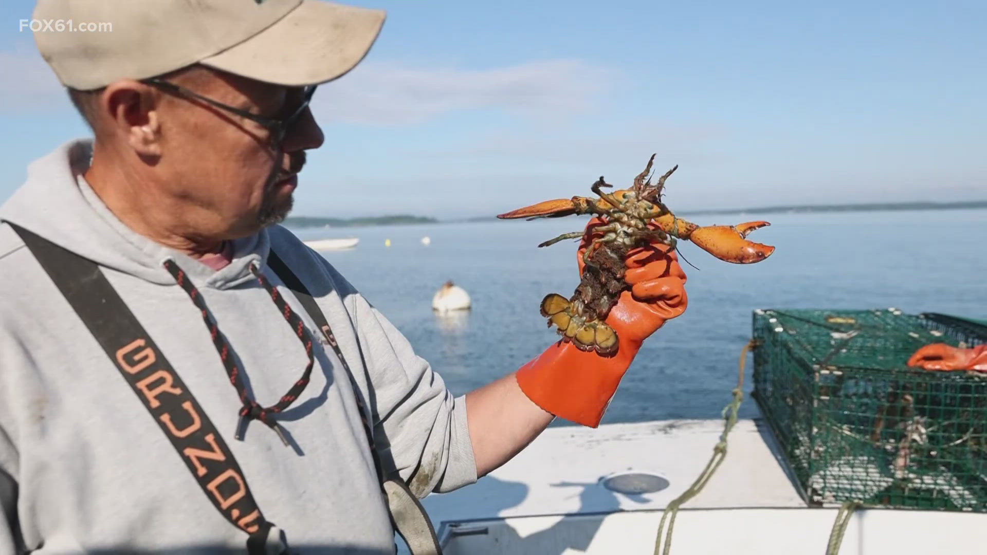 Many lobstermen thought they would be on the water until the day they die, but in Connecticut, that isn’t the case.
