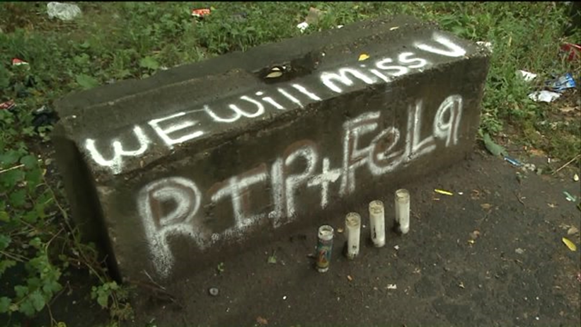 Neighborhood mourns loss after hit-and-run