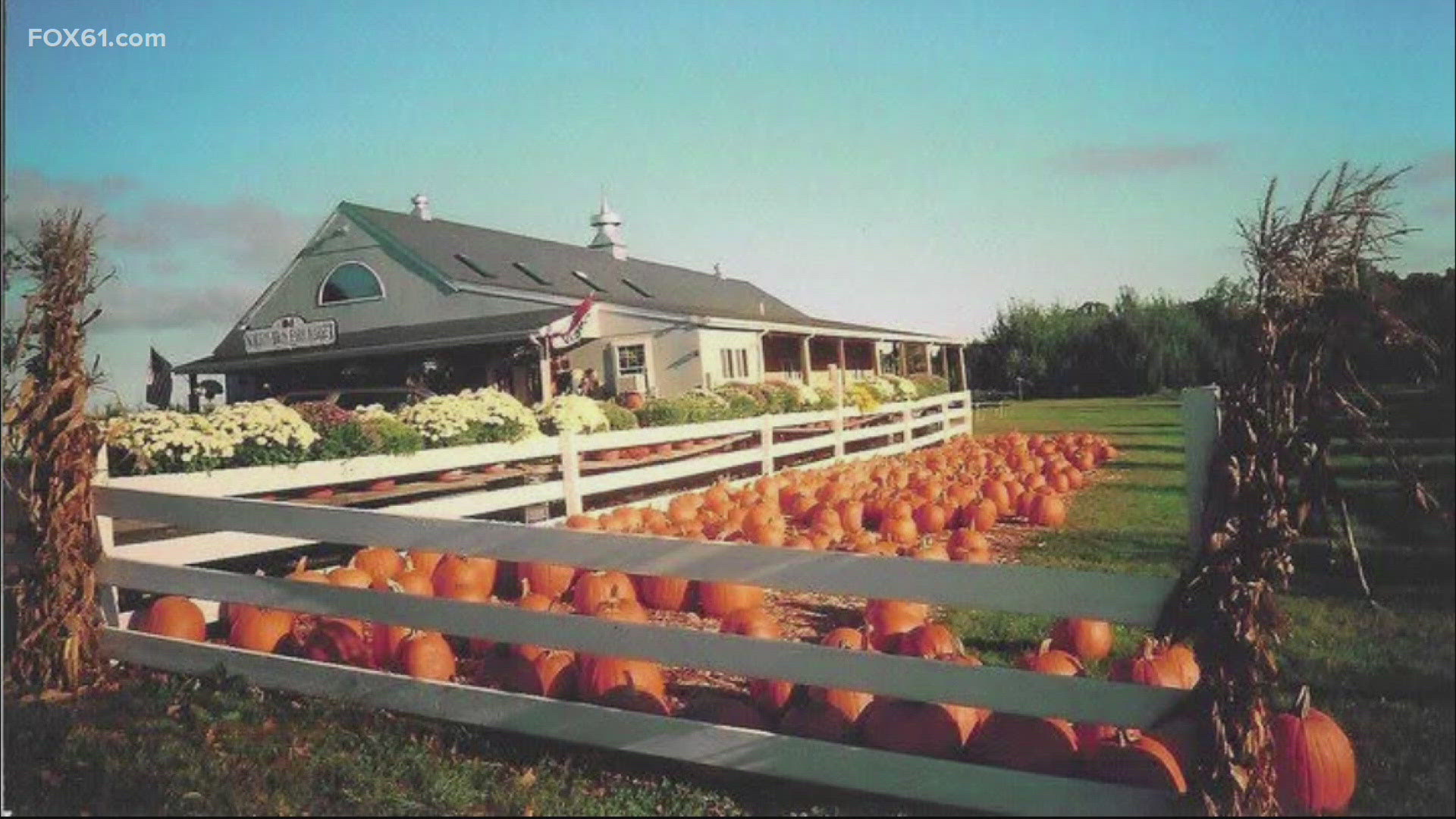 Few people knew the iconic farm would be shuttering its doors for good when it closed following the fall season in December 2024. 