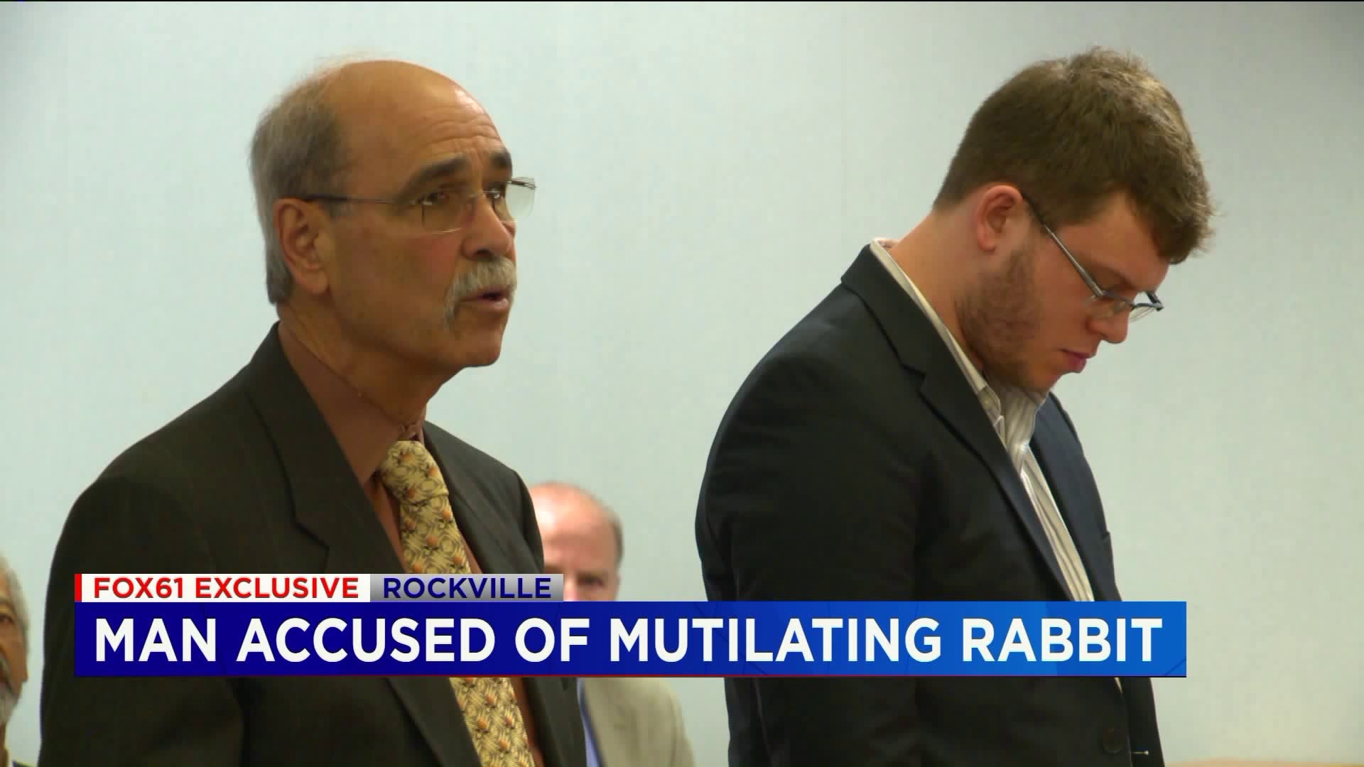 FOX61 Exclusive: New Britain man charged with animal cruelty for allegedly mutilating a rabbit while driving