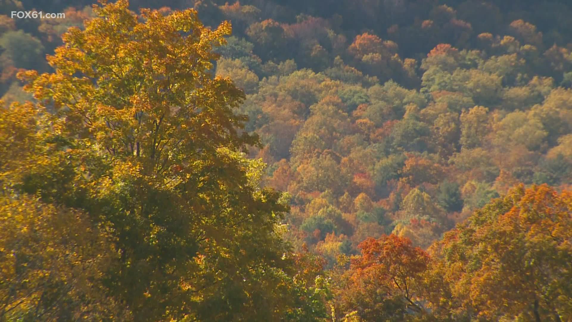 Foliage season looks promising and that means a boost for area attractions.
