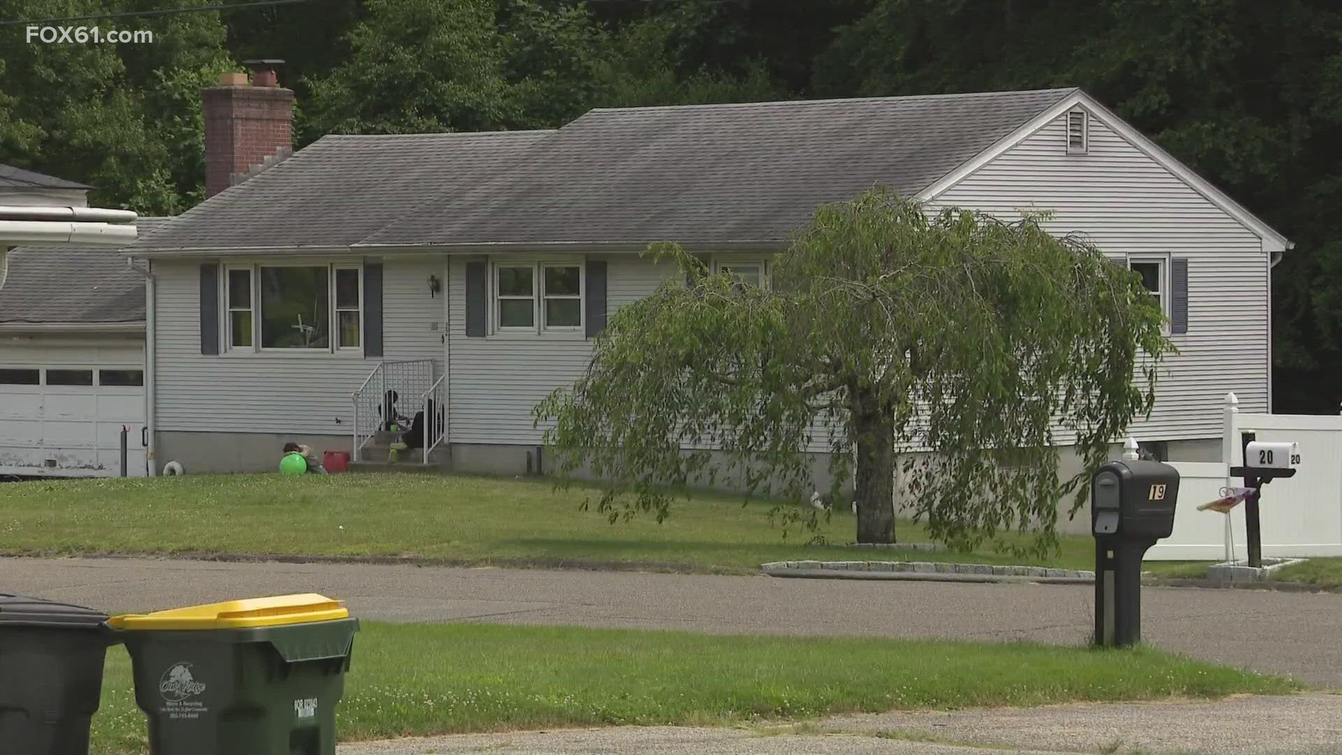 Two Ansonia men face animal cruelty charges after police say they found more than a dozen dogs and cats in their home - all in need of serious medical attention.