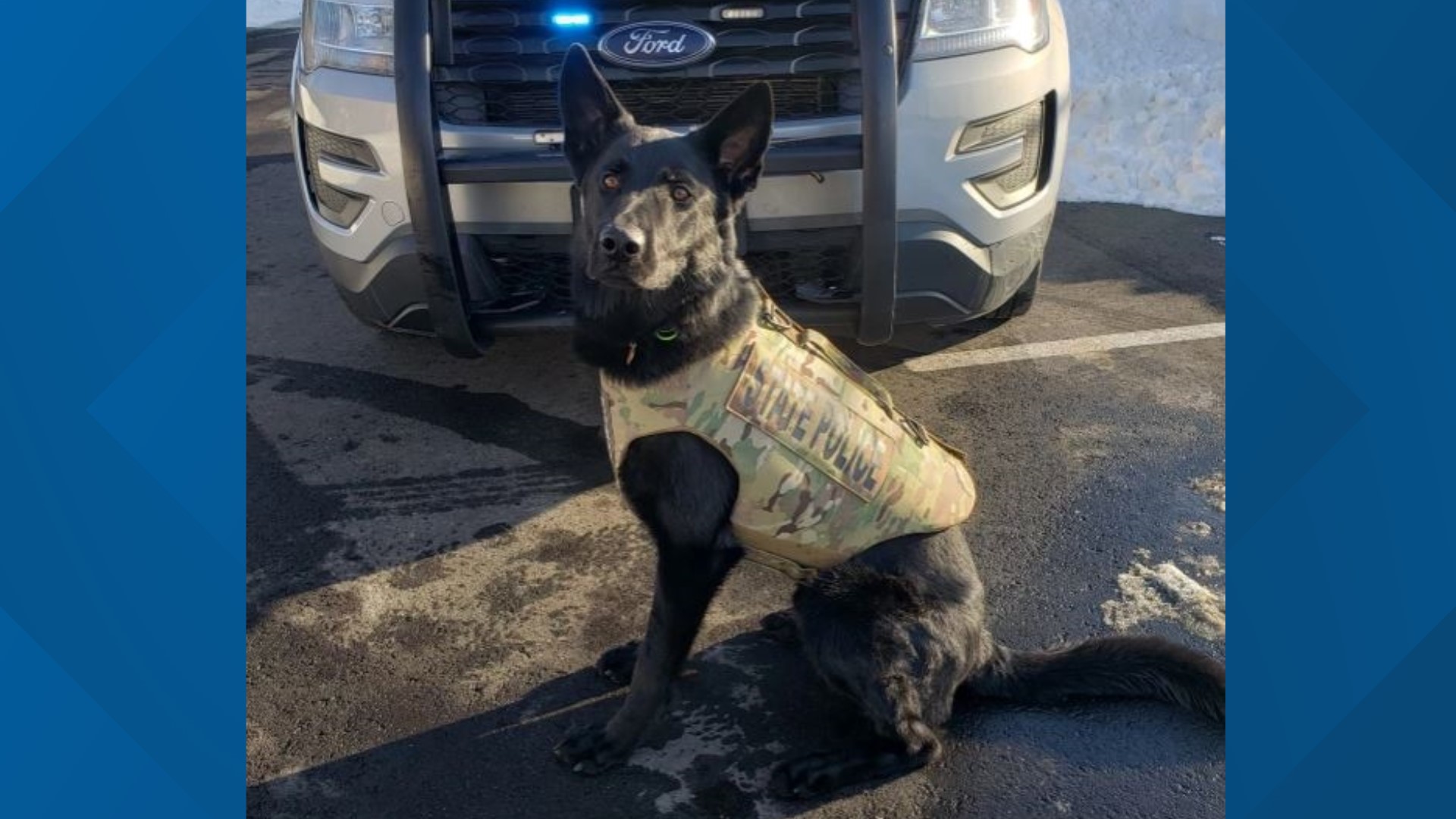 K9 dies in officerinvolved shooting in Stonington State police