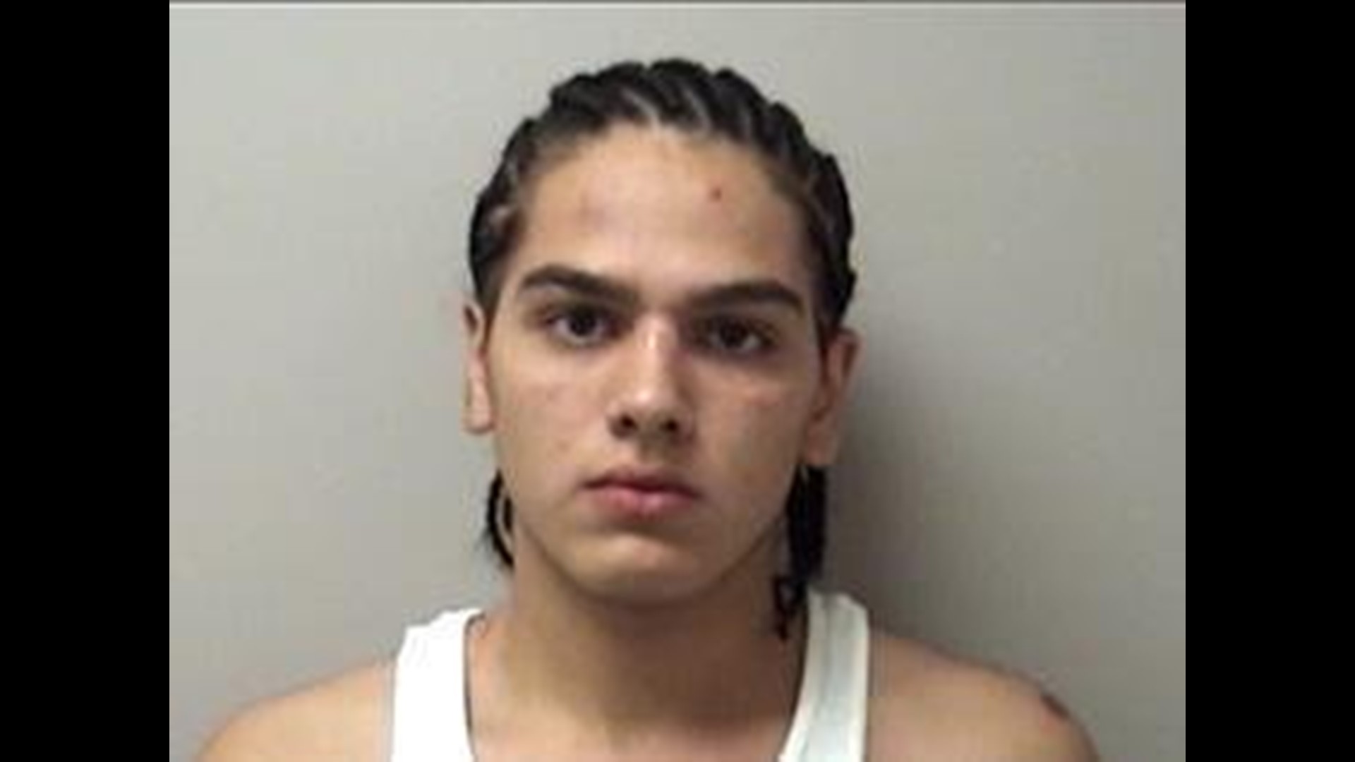 Accused Cat Killer Sentenced To Five Years