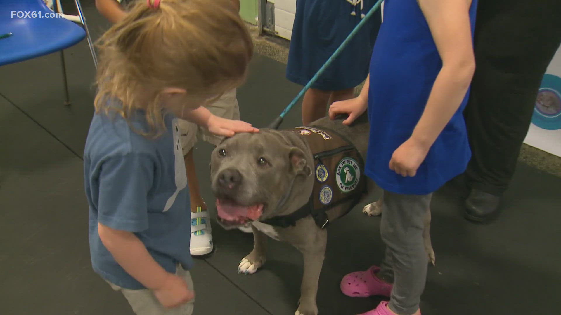 Jeffrey the "Positively Peaceful Pit Bull" was instrumental in the days following the shooting at Sandy Hook Elementary School. He officially retired Saturday.