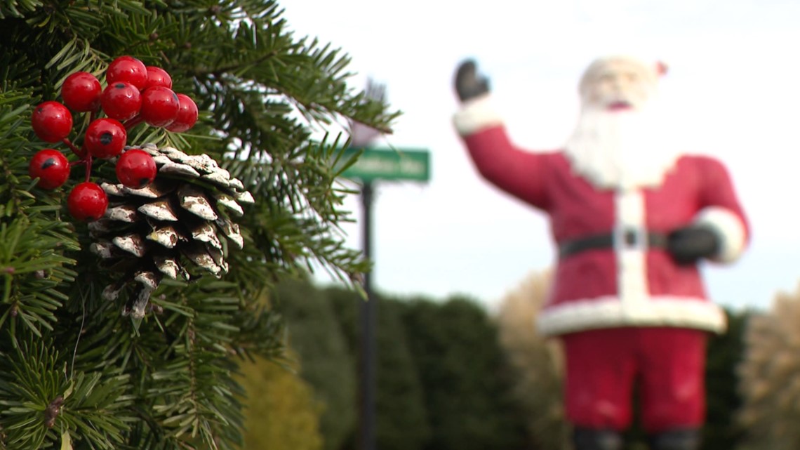 Dzen Tree Farm is ready for the Christmas tree holiday rush | fox61.com