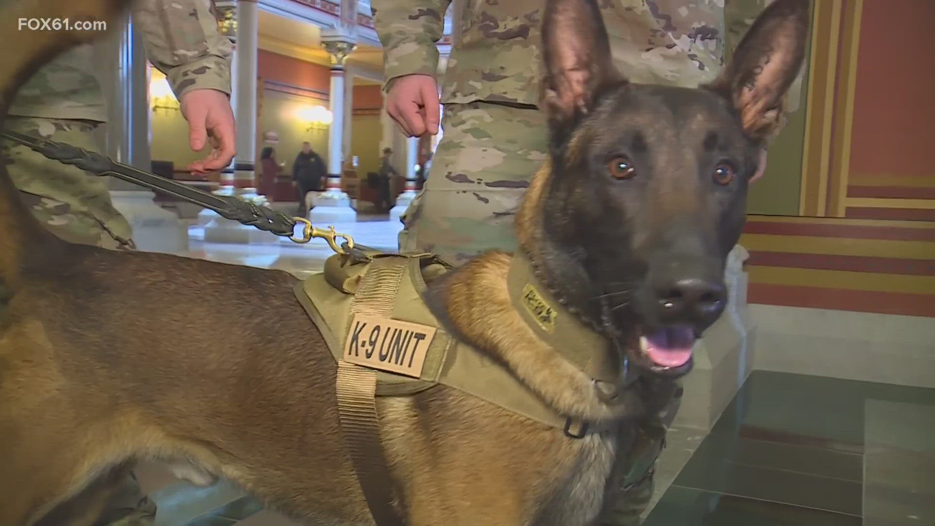 Dogs of distinction – joined by their handlers and trainers – received a warm welcome at the State Capitol on Monday for K9 Veteran’s Day.