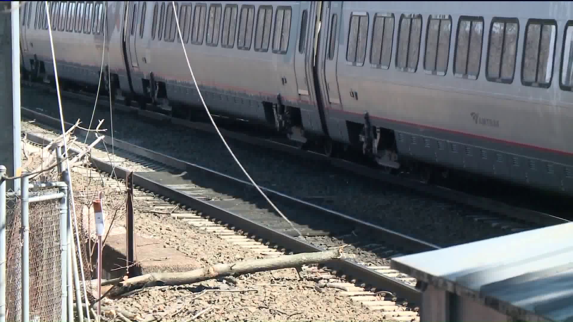 Amtrak trains delayed after tree falls on tracks in New Haven