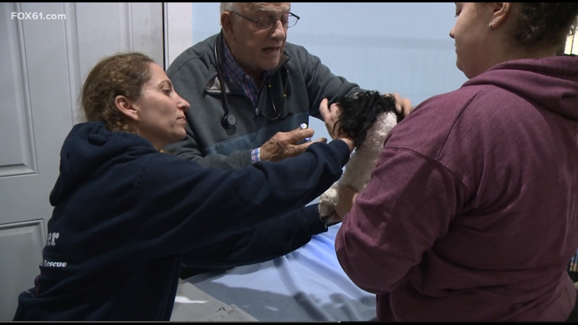 Over 40 dogs and puppies were given homes for the holidays on Saturday, according to Where is The Love Animal Rescue.