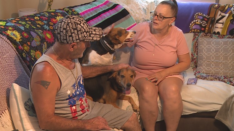 Owners reunited with East Haven dogs stolen in vehicle Sunday