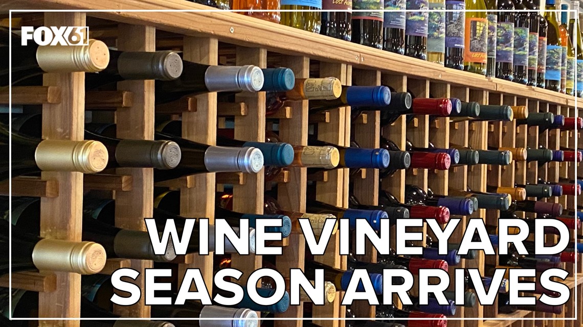 Wine vineyard season arrives in Connecticut
