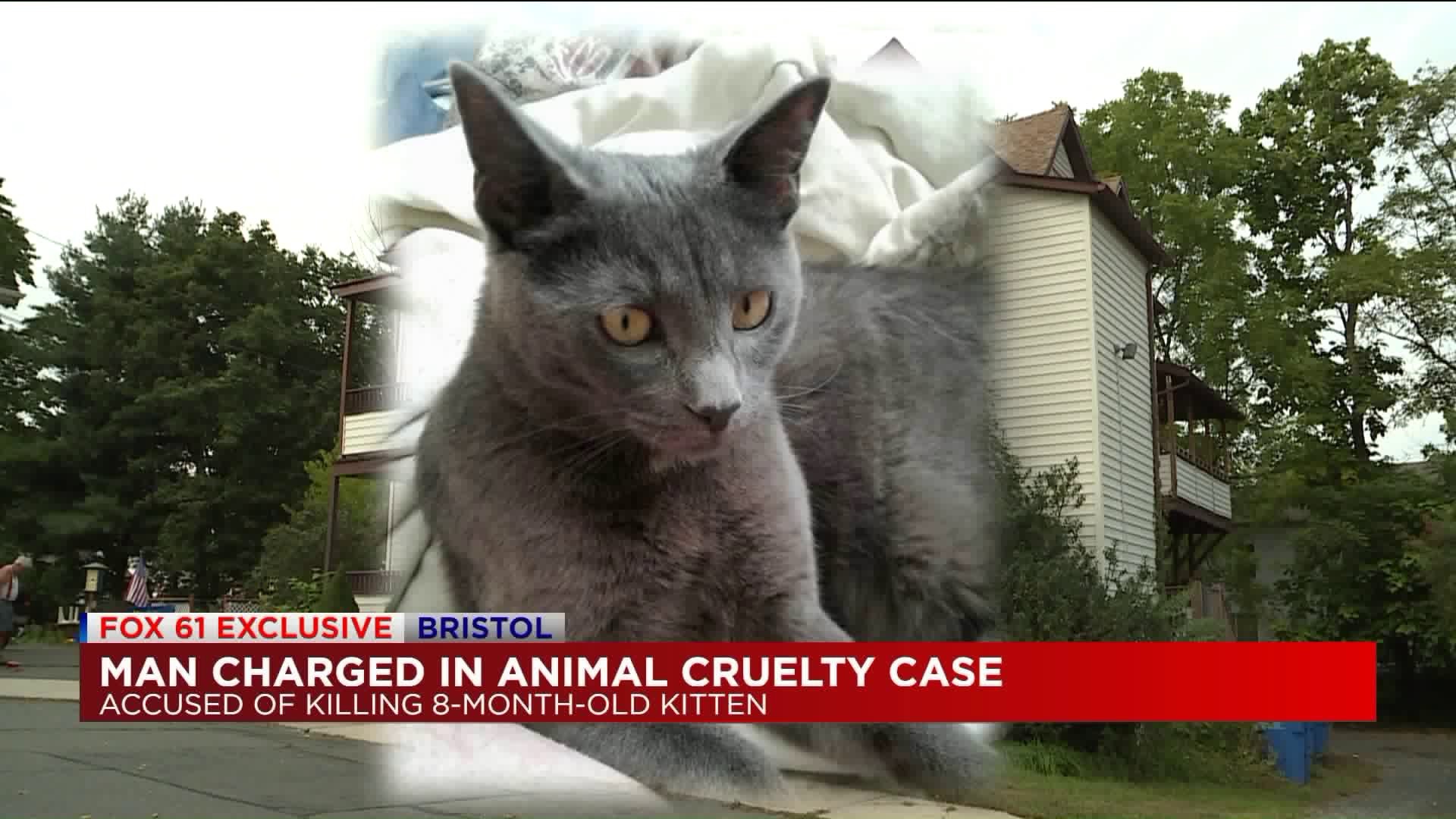 Man arrested in Bristol for allegedly killing roommate`s cat