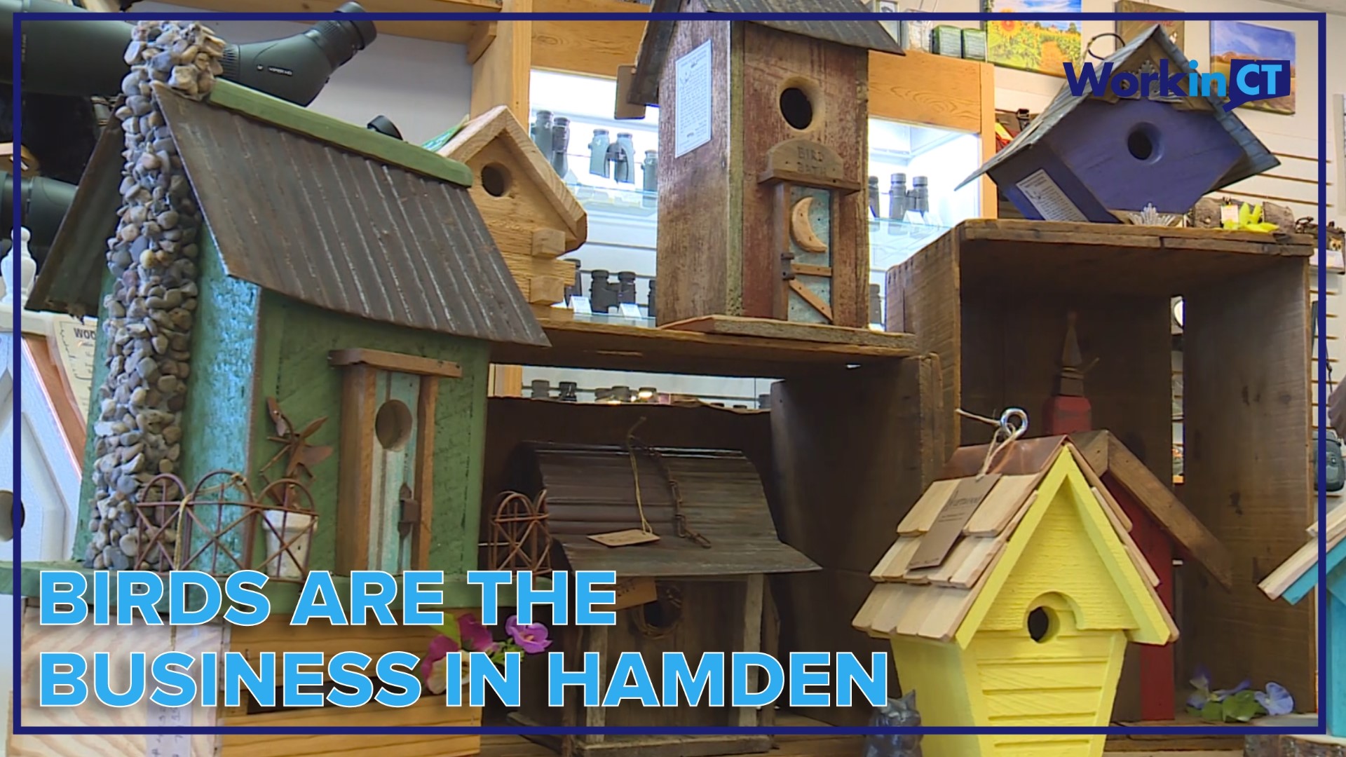 The Hamden store sells all types of seeds and birdhouses and an array of high-end items like binoculars.