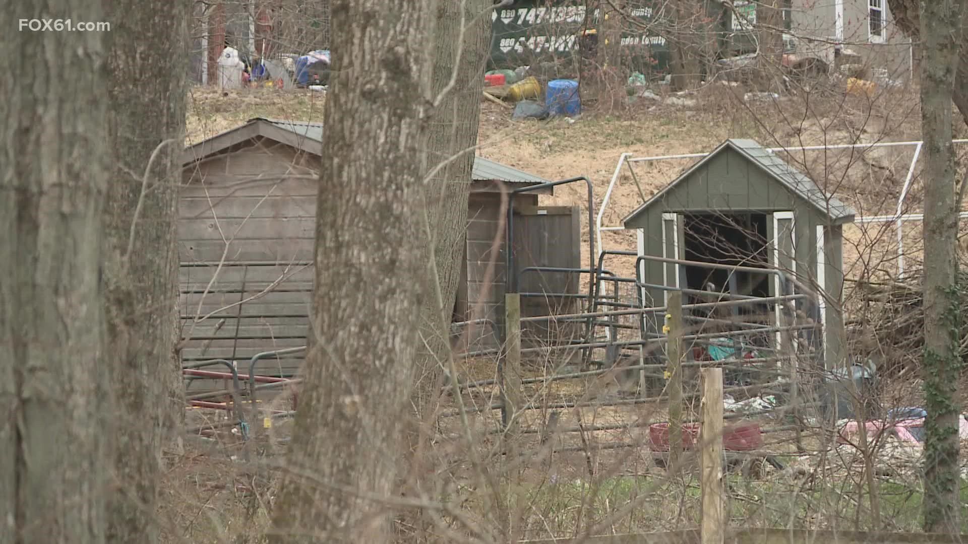 Police said dogs were found crammed in cages throughout the house and animals outside were also found in poor condition.