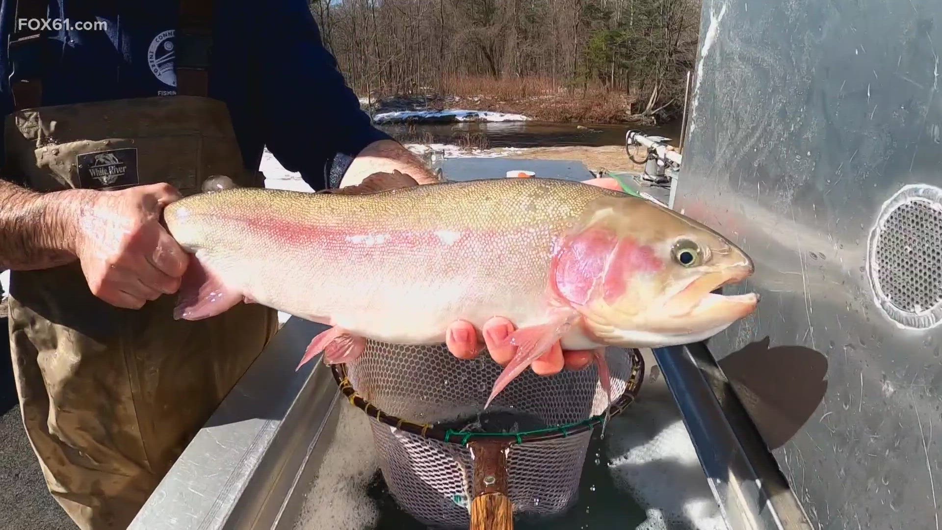 The Connecticut Department of Energy and Environmental Protection (CT DEEP) has been able to get an early jump on stocking trout in 2023.
