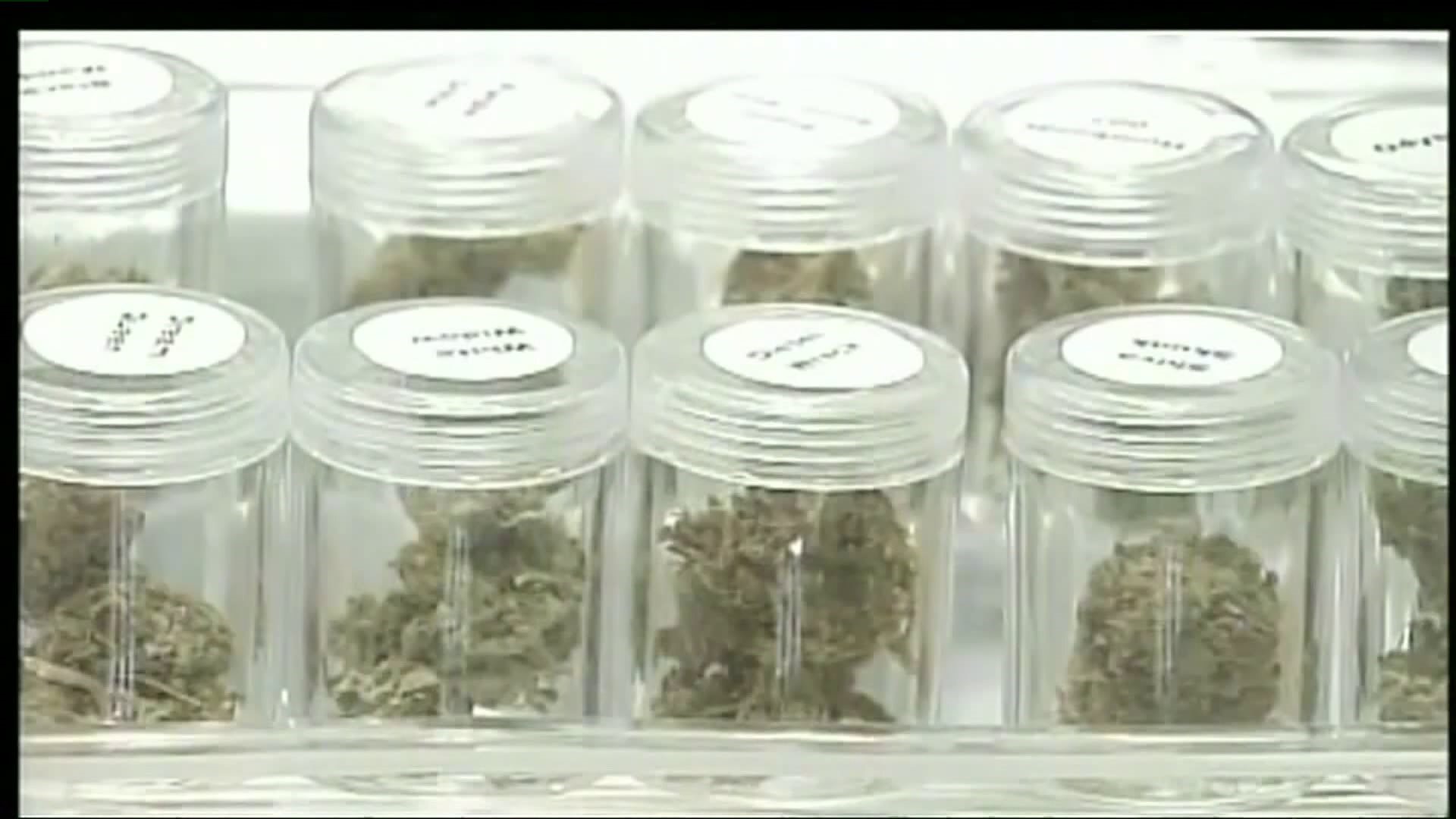 CT DCP on Sessions-Marijuana