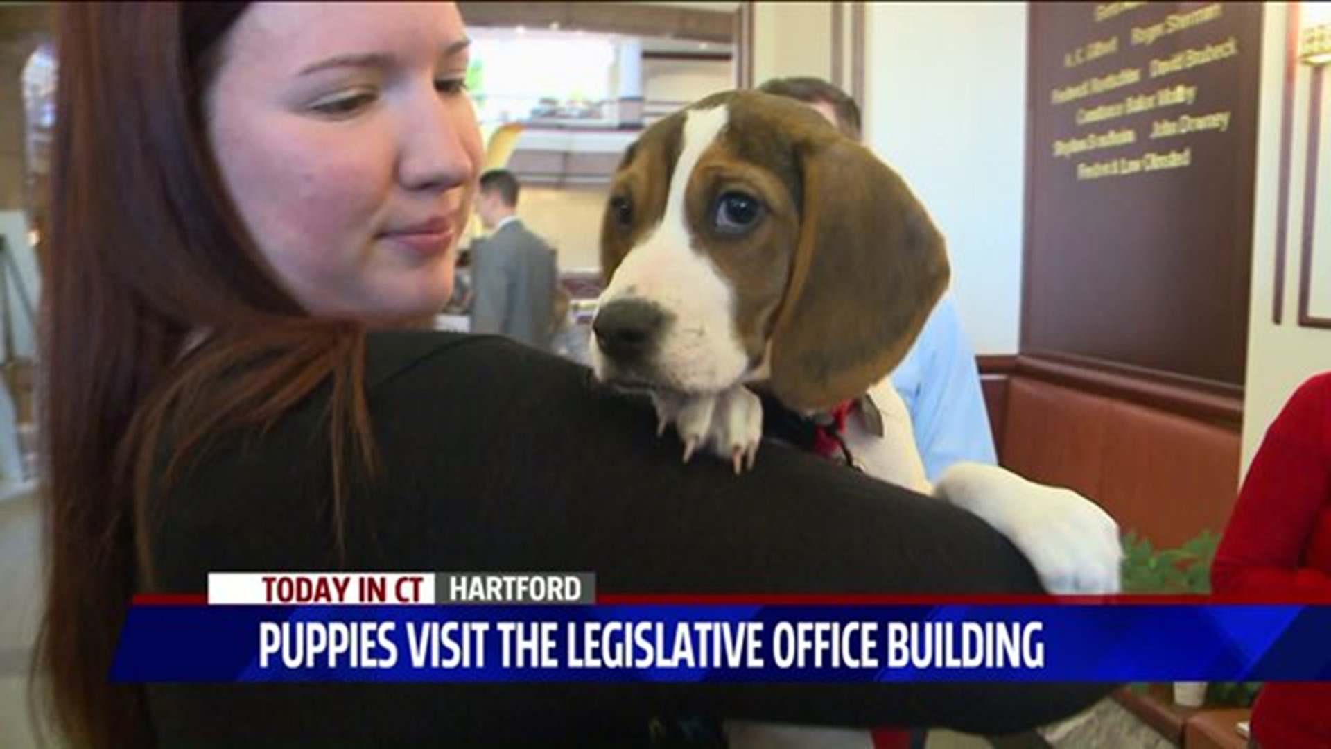 Puppies visit state legislature
