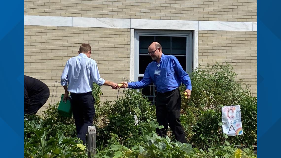 Hartford Healthcare's community garden commences