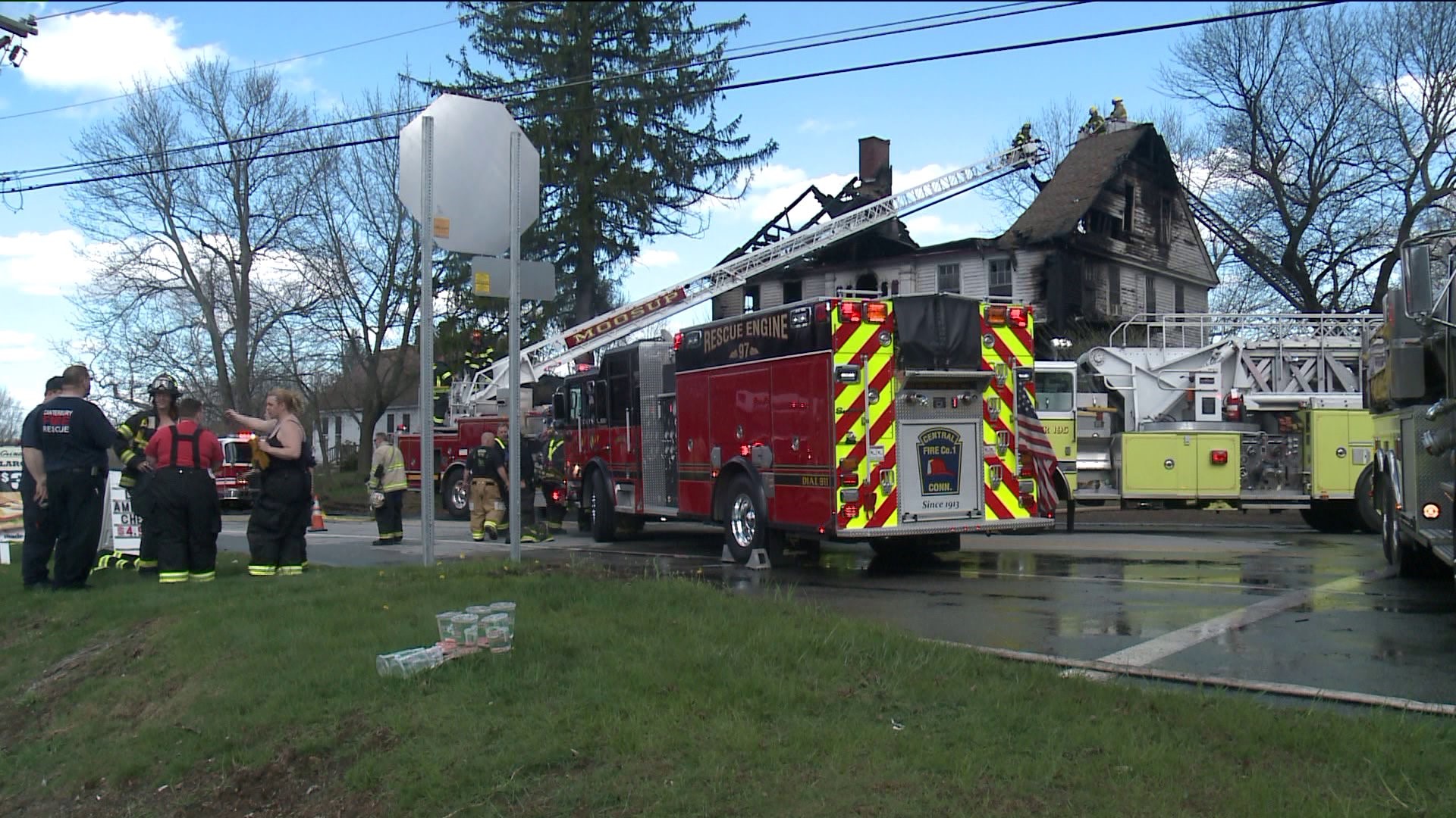 FD: 12 dogs killed in Canterbury house fire