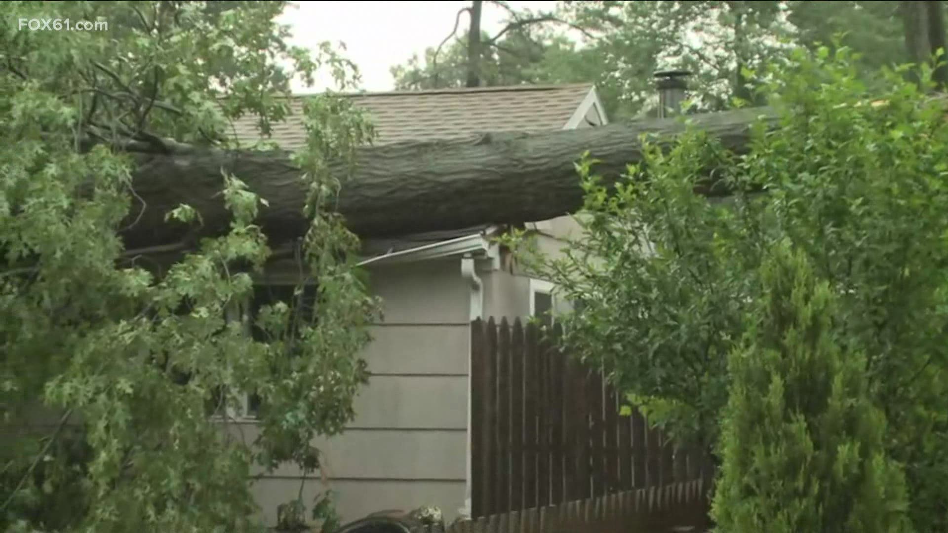 A fire official said three people and a baby were inside when the tree came down. Everyone inside made it out safely.