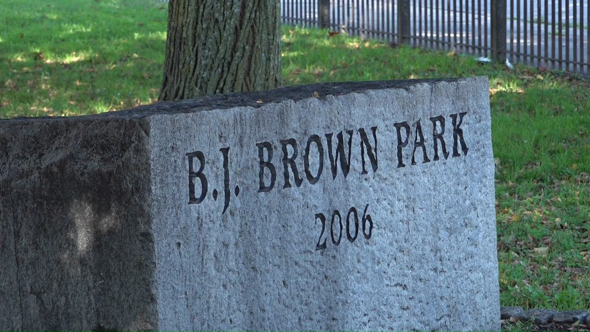Trumbull man dies after tree limb he was cutting entrapped him: Police ...