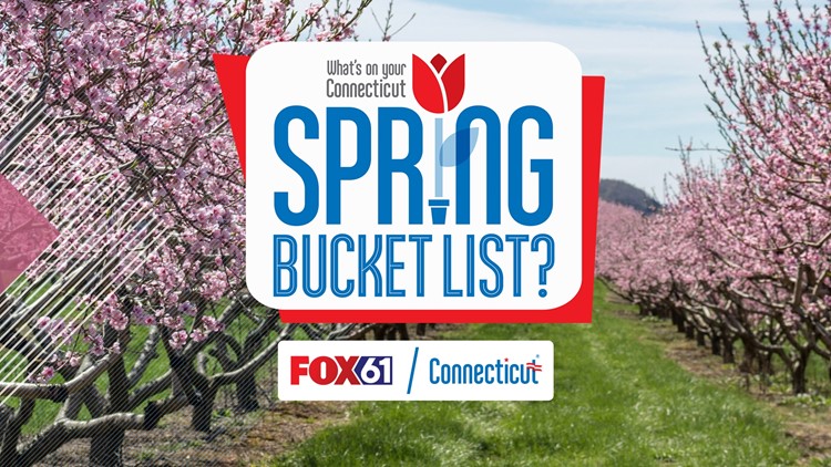 FOX61 takes viewers on a Spring Bucket List across Connecticut