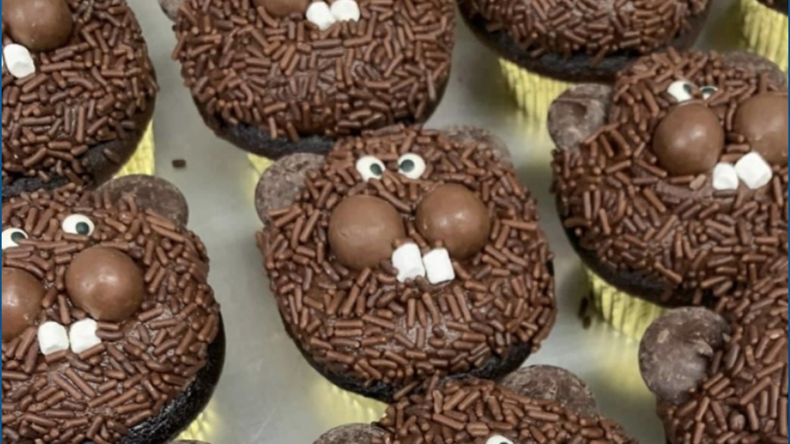 Cute groundhog cupcakes from Cake Gypsy