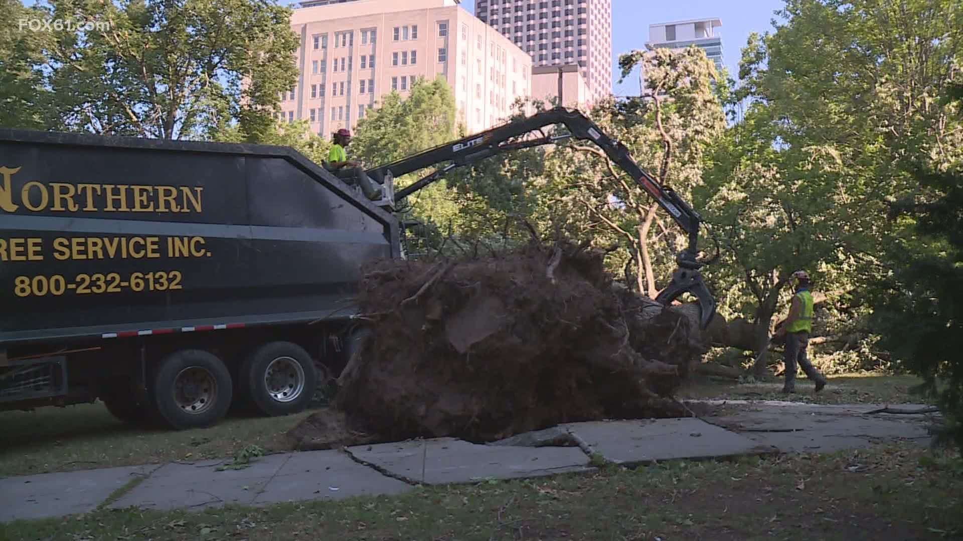 Hartford officials say they are working with Eversource to restore power to residents, while crews also remove fallen trees from Bushnell Park.
