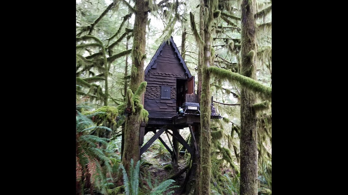 1140px x 641px - Man charged after 'gingerbread treehouse' full of child porn found in woods  | fox61.com