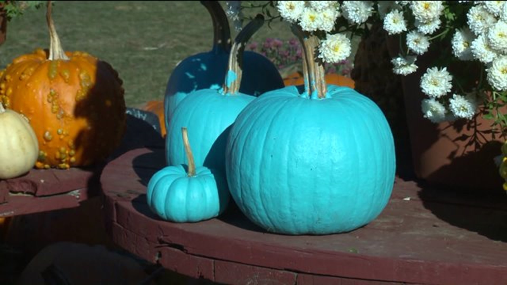 The Teal Pumpkin Project
