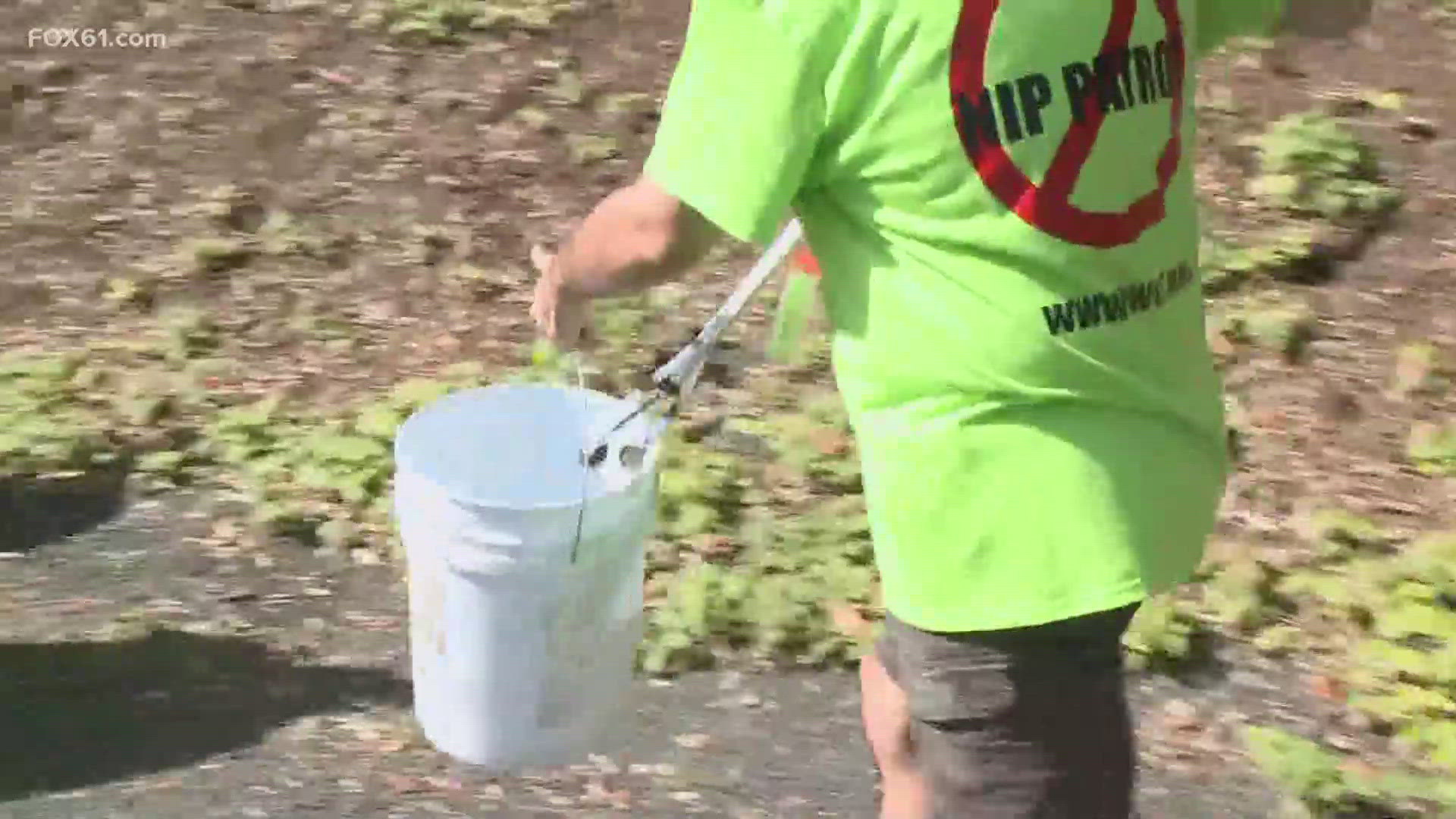Opportunity Works provides employment opportunities to people of all abilities, including being part of the Nip Patrol, which picks up trash and nip bottles.