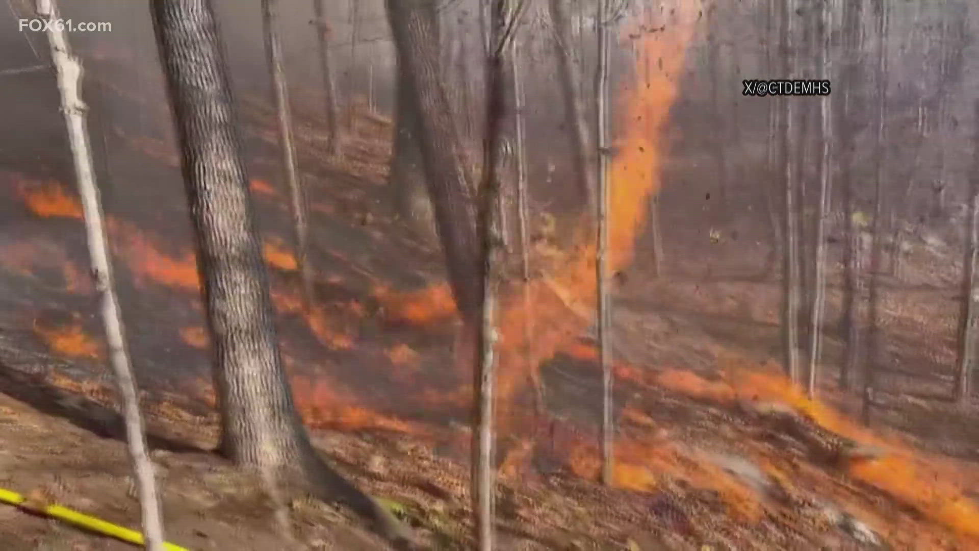 The fire burned 26 acres of private land adjacent to the Nathan Hale Forest in Andover Monday.