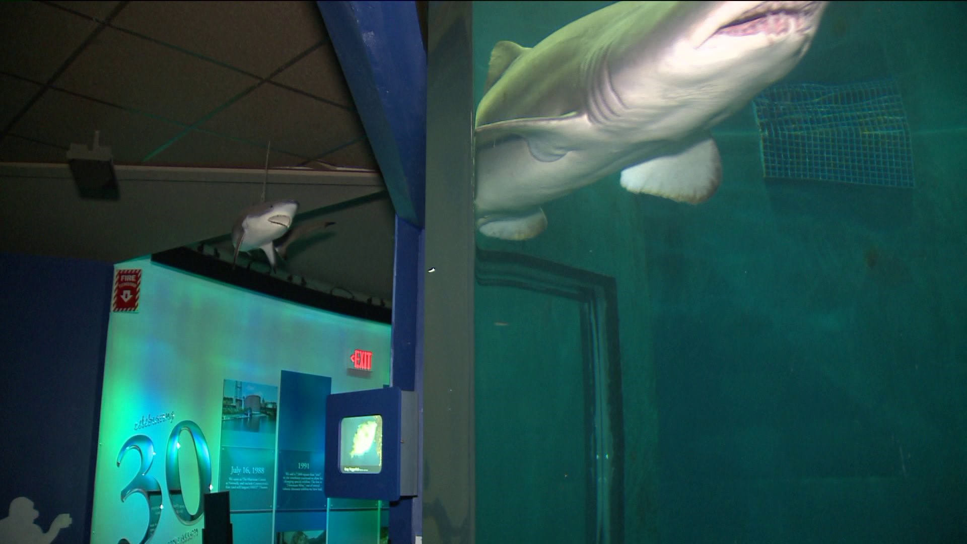 Daytrippers: Maritime Aquarium in Norwalk