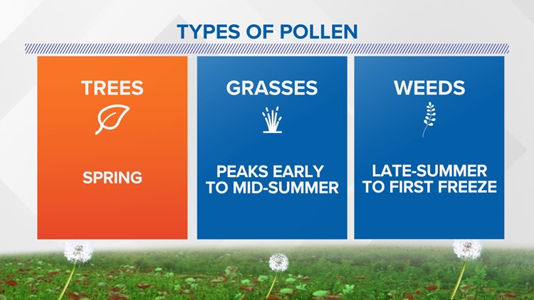 Pollen counts on rise, and allergy season is getting longer