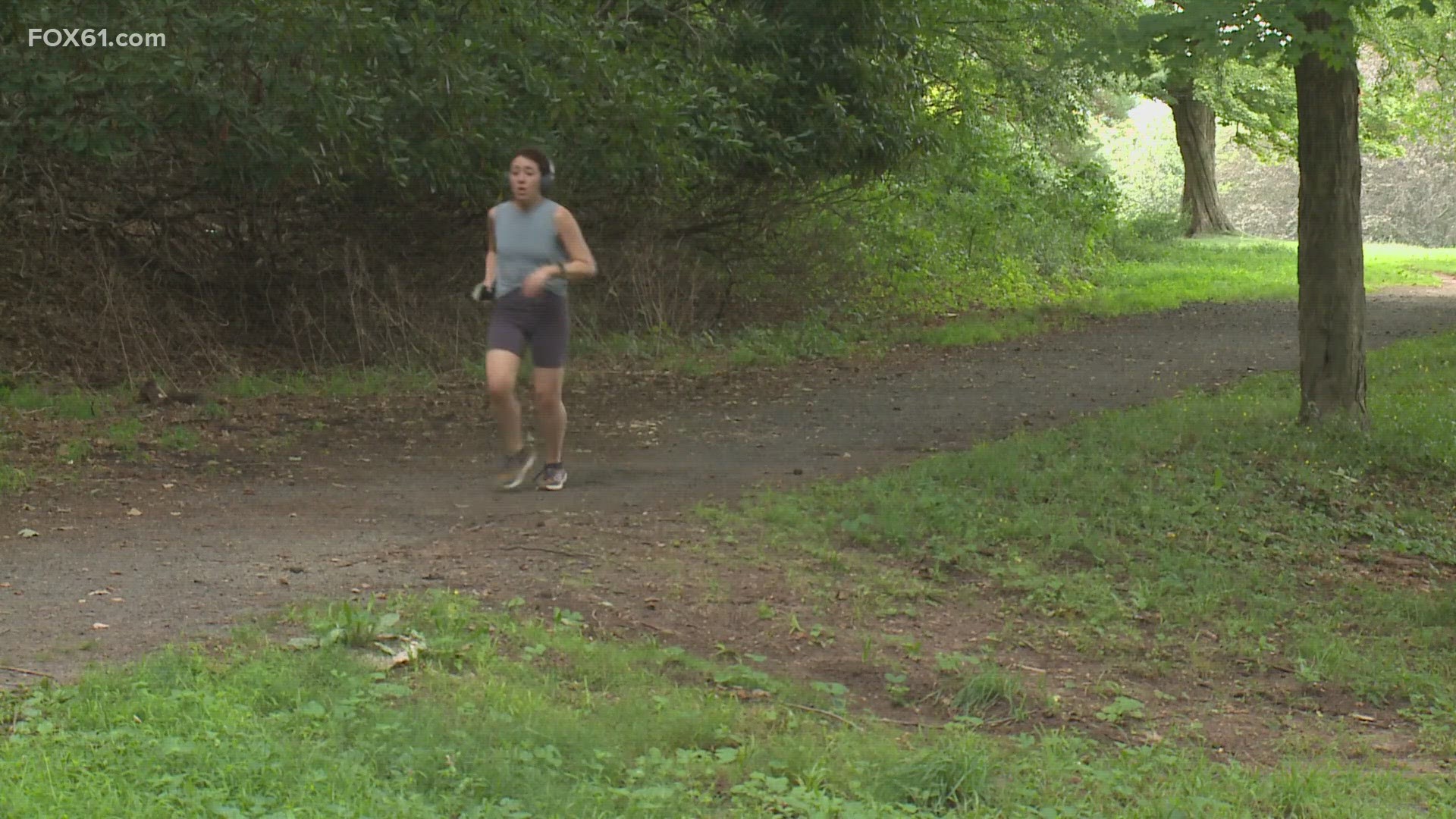 Hamden Police say a woman reported to them that a man approached her from behind and tried to pull her into the woods at the park.