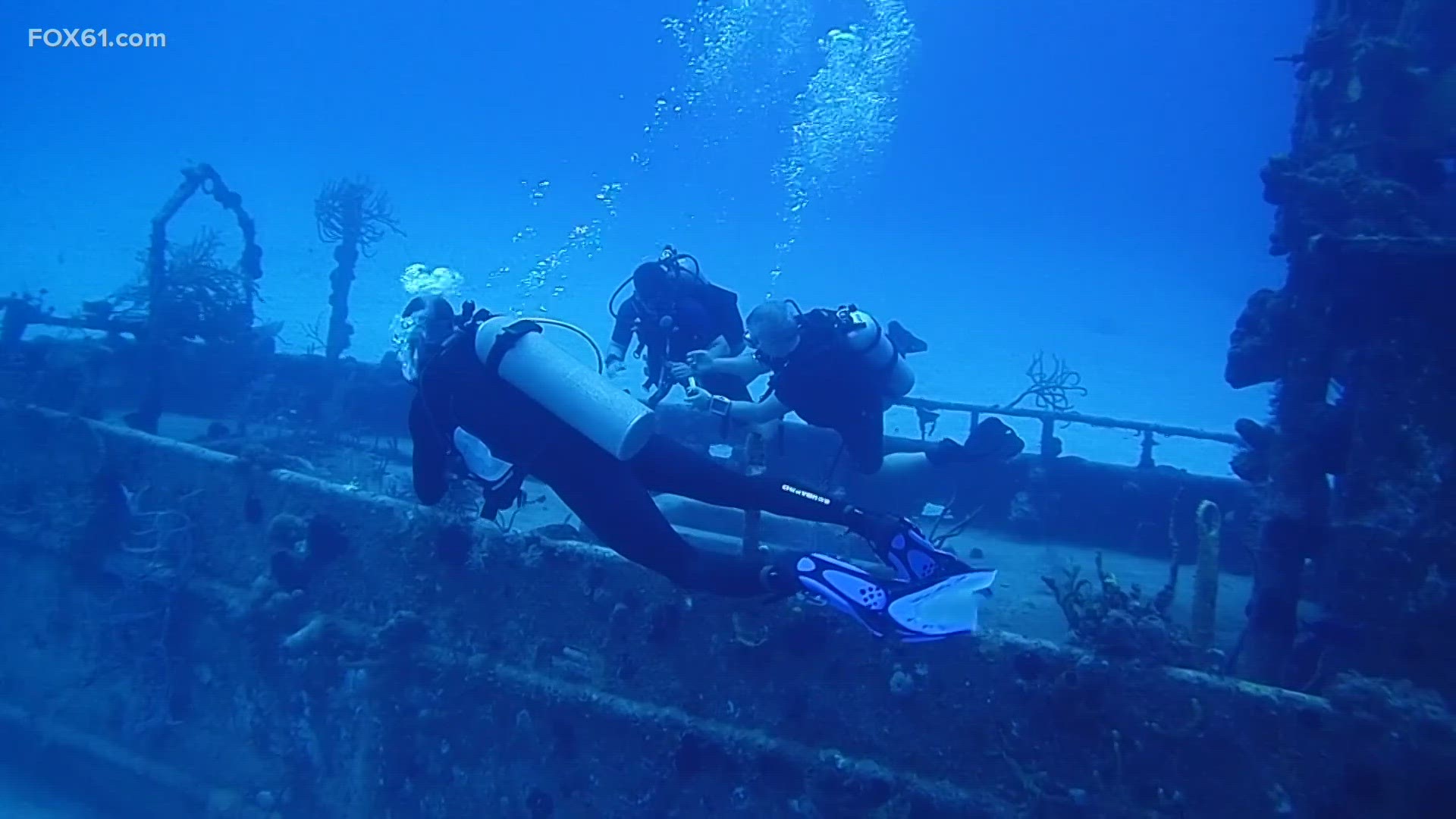 Just in time for “Shark Week”, the owner of Enfield Scuba and Watersports is taking about among his most popular courses.