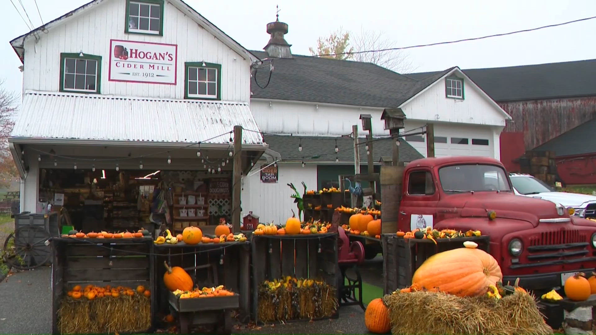In Burlington, drink it in; cider making makes their season