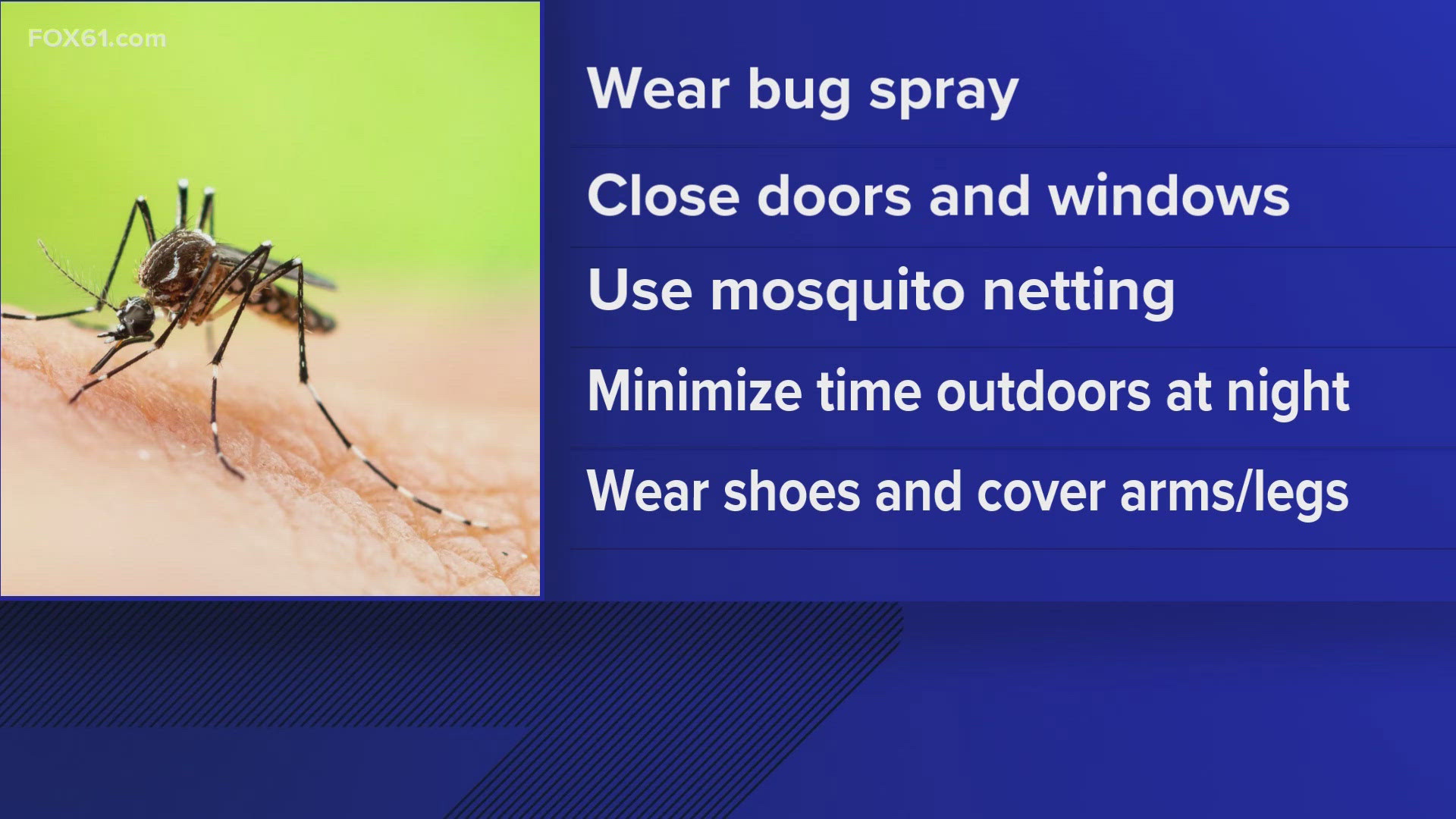 The mosquitoes were collected from a trap at Quinebaug Camp Road in Canterbury on July 16, and four mosquitoes from the sample tested positive for EEE.