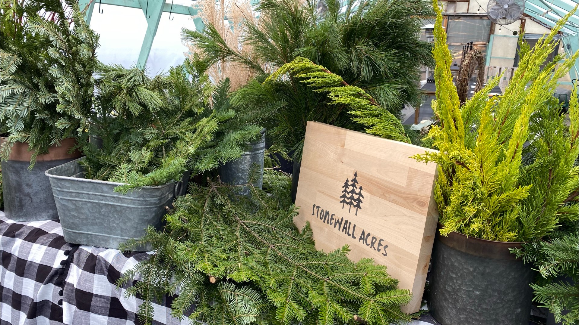 It’s become a tradition each holiday season, since the pandemic, Stonewall Acres has been offering its popular “Wreath Making Workshops."