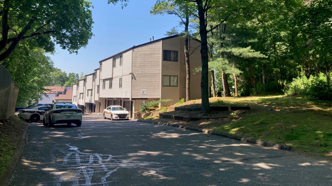 New Haven police investigating homicide - Vimarsana News