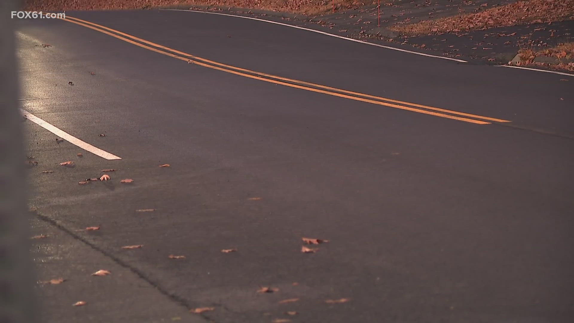 Father, son killed after car collides with tree in Bristol | fox61.com