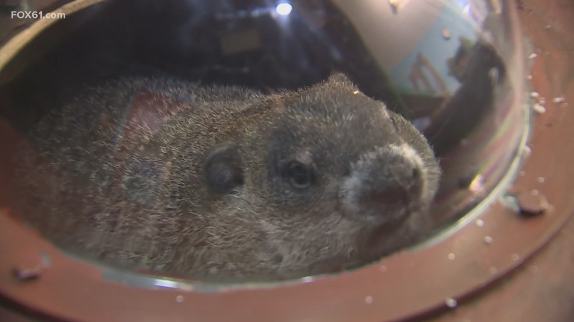 Connecticut's official groundhog Chuckles XI predicts 6 more weeks of winter