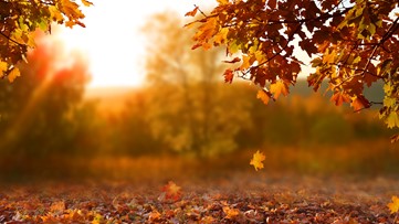 When does fall start? A look at the autumn equinox